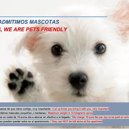 Www Goyahospitales Es * León